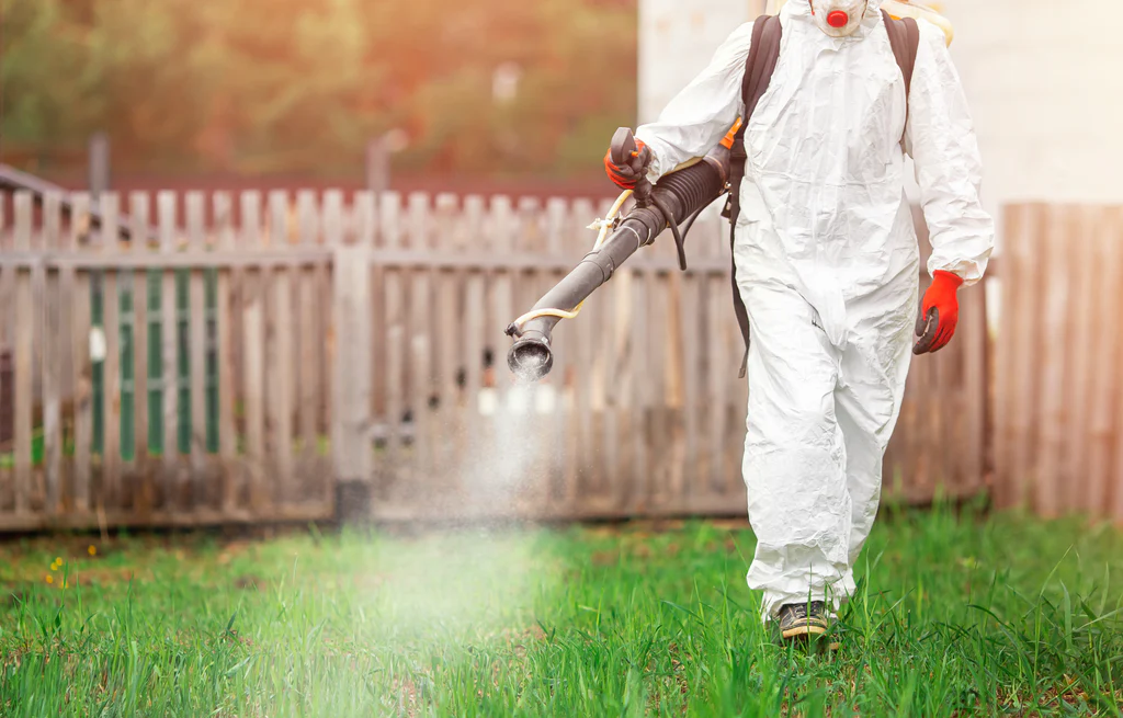 Mosquito Fogging