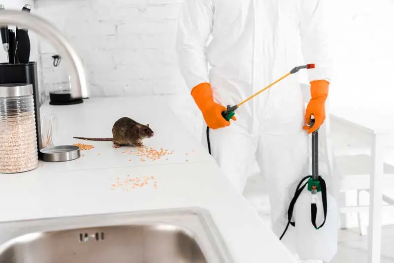 Rodent Control